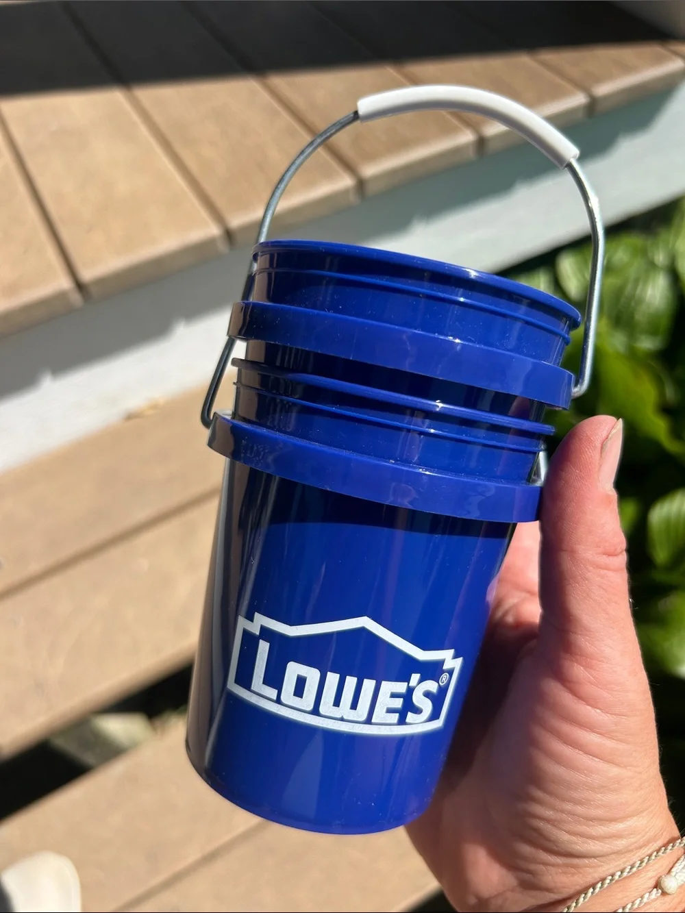 Lowe’s lowe mini